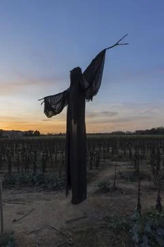 Ghost at sunset 스톡 사진
