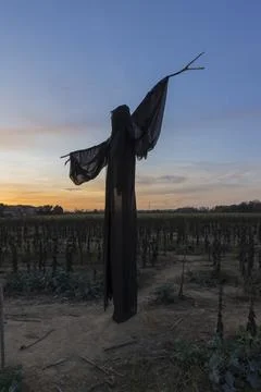 Ghost at sunset 写真素材