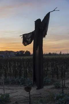 Ghost at sunset 写真素材