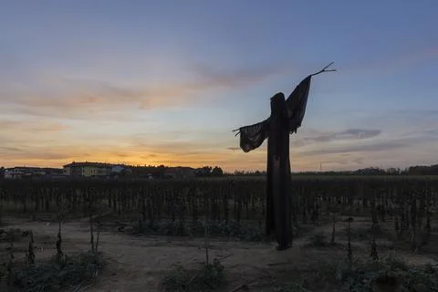 Ghost at sunset Stock Photos