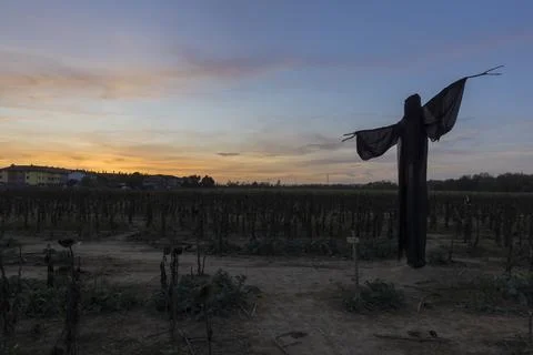 Ghost at sunset 스톡 사진