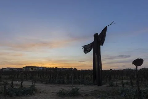 Ghost at sunset Stock-Fotos