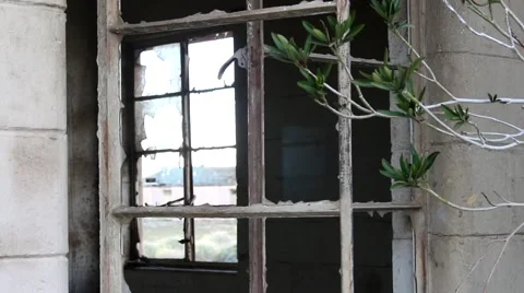 Ghost Town (branch through windows) 動画素材 47492625