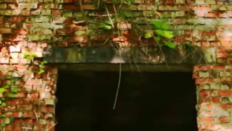 Ghost town,the scenery for the series lost of us Video stock 244999959
