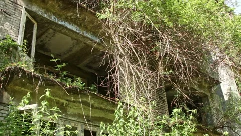 Ghost town,the scenery for the series lost of us Stock Footage 245020006