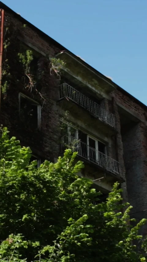 Ghost town,the scenery for the series lost of us Video stock 245072284
