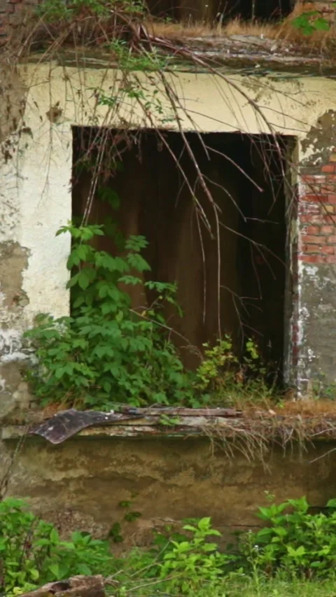 Ghost town,the scenery for the series lost of us Stock Footage 245073780