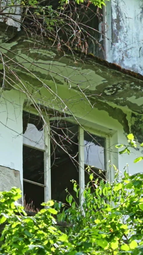 Ghost town,the scenery for the series lost of us 스톡 동영상 245083011
