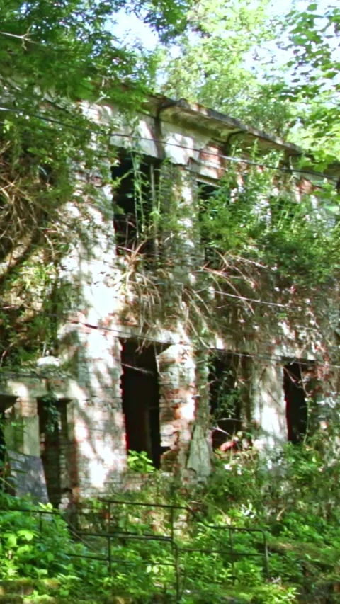 Ghost town,the scenery for the series lost of us Stockbeeldmateriaal 245083134
