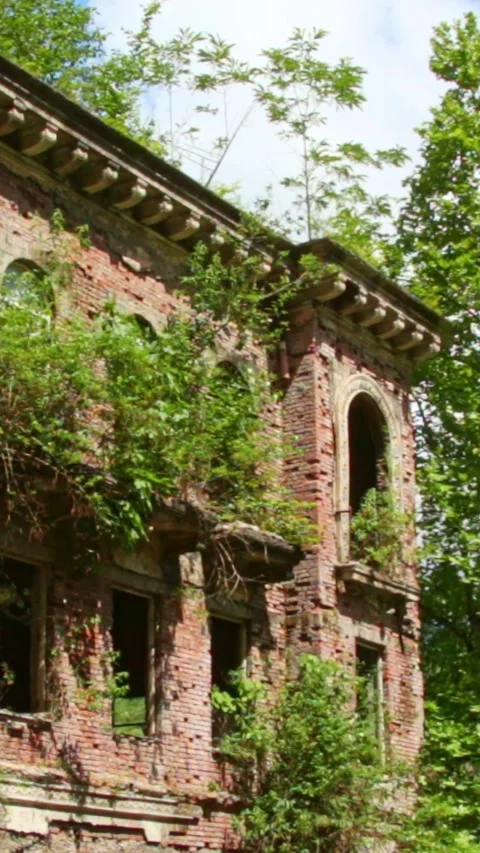 Ghost town,the scenery for the series lost of us Video stock 245083261