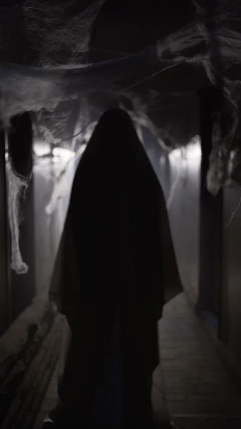 Ghost walking through dark corridor full of cobwebs in abandoned building at Stock Footage 313174583