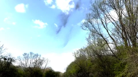 ‘Ghost’ of winter gnats appears to dance in sunlight near Irthlingborough 库存影片 331846870