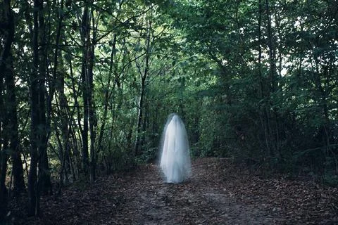 Ghost in the woods at night Stock Photos