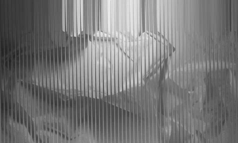 Ghostly Abstract Monochrome Background with Vertical Line Overlay and Soft .. 스톡 일러스트