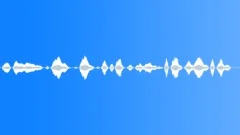 Ghostly cry from beyond Horror sci fi ambience Sound Effect
