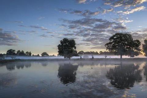 Ghostly mist hovering over ponds at Bushy Park Foto stock