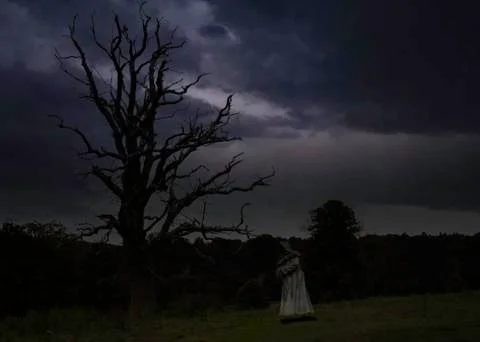 Ghostly Monk by dead tree Foto stock
