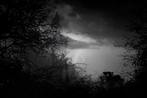 Ghostly Monk in forest Foto stock