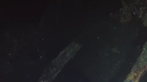 Ghostly Octopus Camouflages on an Ancient Deep Ocean Wreck at Night Stock Footage 344493446