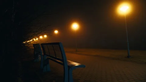 Ghostly Park: Step into a park engulfed in an otherworldly atmosphere, its Stock Footage 272275925