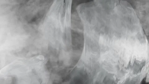 Ghosts in the Fog Background 4K Loop Stock Footage 244970241