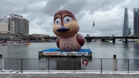 Giant 40ft inflatable duck in Darling Harbour Stock Footage 258809827
