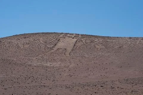 Giant of the Atacama Stock Photos