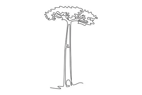 Giant baobab tree for wall decor poster Stock Illustration