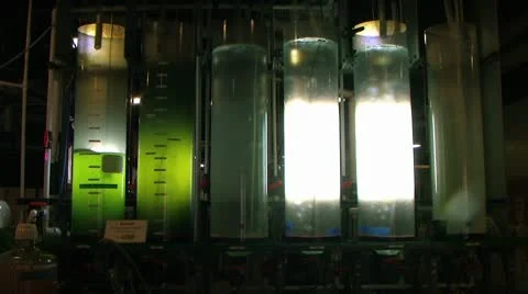 Giant beakers wide Stock Footage 10584504