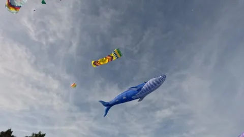 Giant blue whale shaped kite flying high in the sky in Can Tho city, Vietnam. Stock Footage 313851065