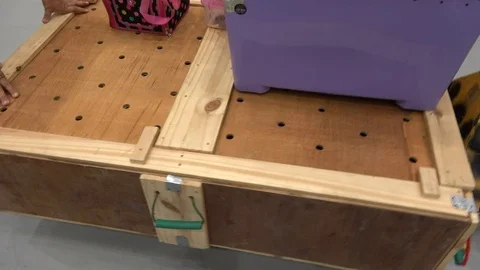 Giant Burmese Python unloaded from crate to Thai pet show 스톡 동영상 109393071