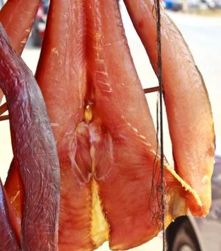 Giant catfish 1 Stock Photos