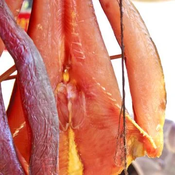 Giant catfish 2 Stock Photos