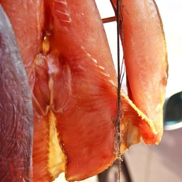 Giant catfish 3 Stock Photos