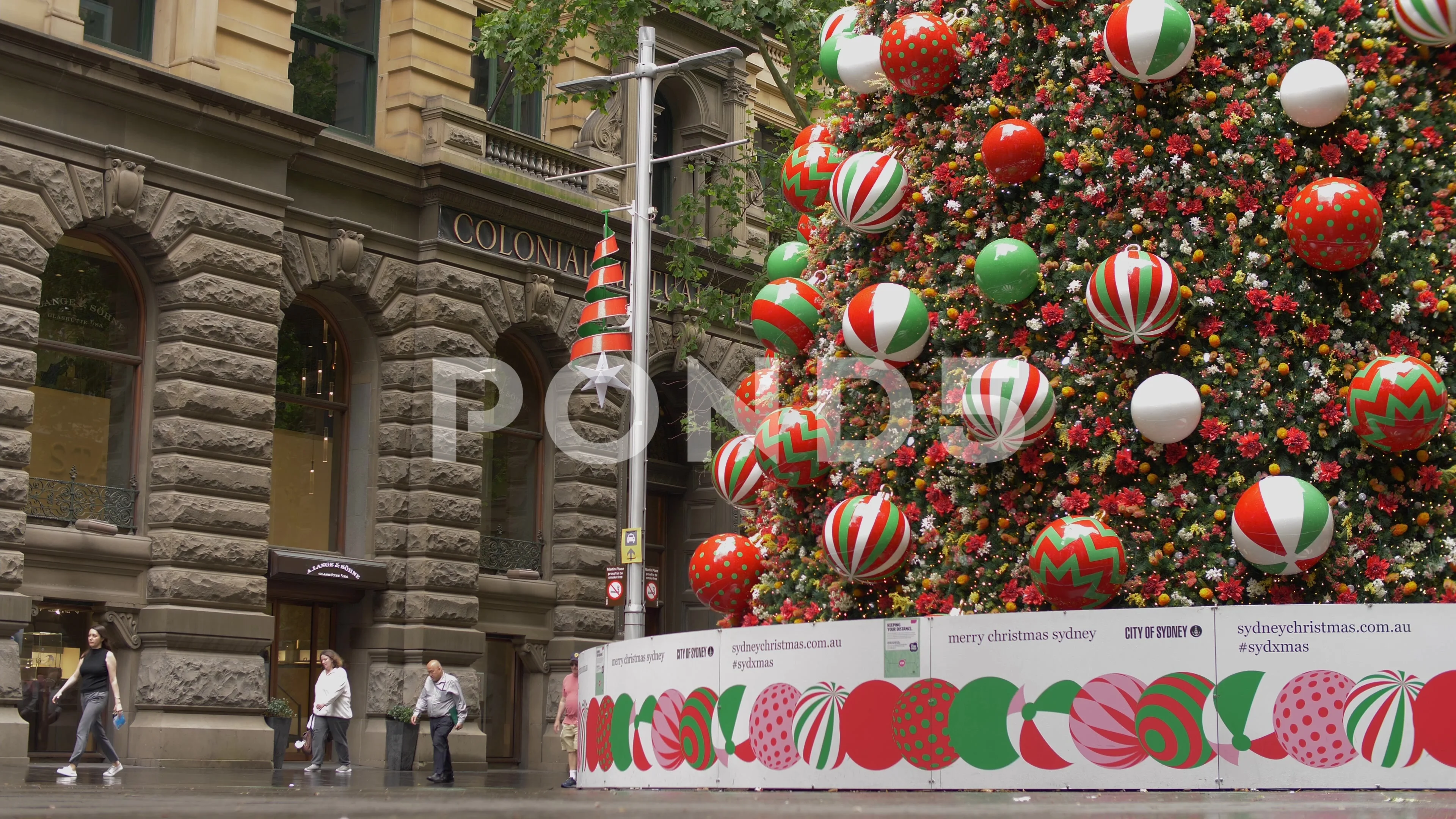 Aggregate more than 81 christmas decorations sydney vova.edu.vn