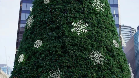 A giant Christmas tree in the daytime Stock-Footage 146504941