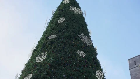 A giant Christmas tree in the daytime Stock-Footage 146505035
