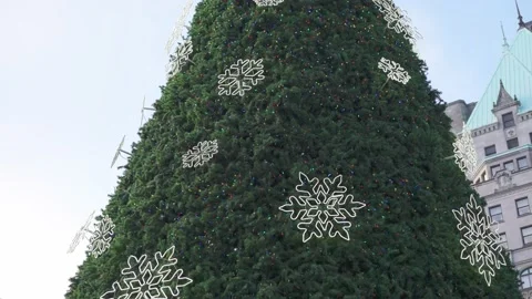 A giant Christmas tree in the daytime Stock Footage 146505065