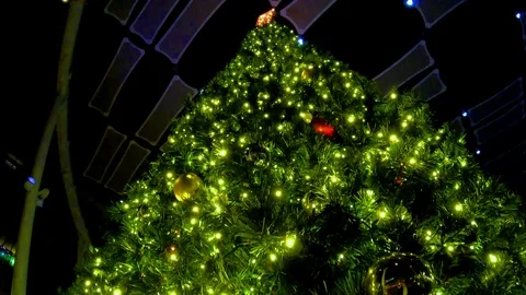 Giant Christmas Tree decked out with all the holiday lights and ornaments, Stock Footage 100054048