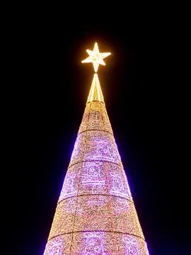 Giant christmas tree illuminated with bright star. Stock Photos