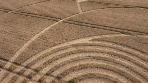 Giant Crop Circle Low Flyover Drone Clip 4K, Westbury, Wiltshire, 30th July 2023 Stock-Footage 267579211