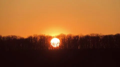 A giant disk of the sun through the trees at sunset . Stock Photos