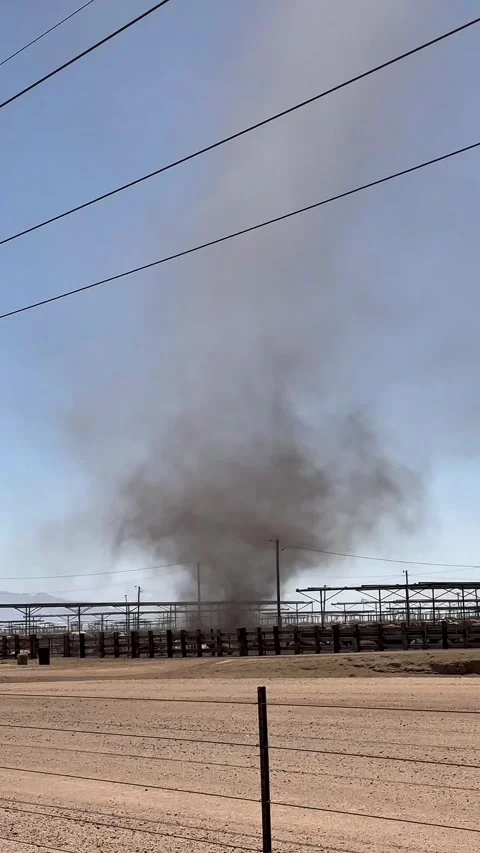 Giant Dust Devil over a Cattle Feed lot in Southern Arizona Stock-Footage 309831474