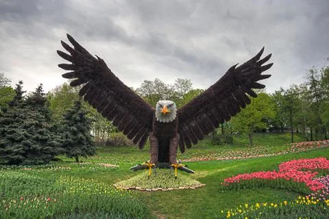 Giant Eagle Stock Photos