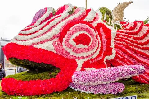 Giant Fish Carnival Float Made of Flowers. Big Statue Covered with Carnations Fotos Stock
