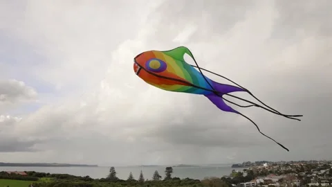 Giant fish kite floating in the wind Stock Footage 199744817