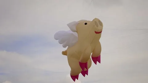 Giant flying pig floating in the wind Stock-Footage 199744846