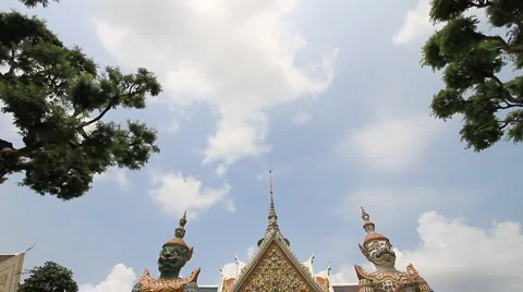 Giant Video stock 4883909