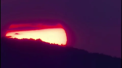Giant globe of the sun that slips behind the trees at sunset  Stock Footage 72266237