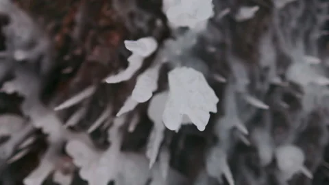 Giant icicles on cave ceiling, hang dangerously overhead. Stock Footage 170760924